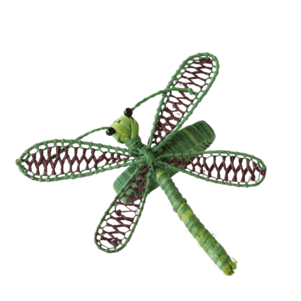 Libélula verde limón con marrón