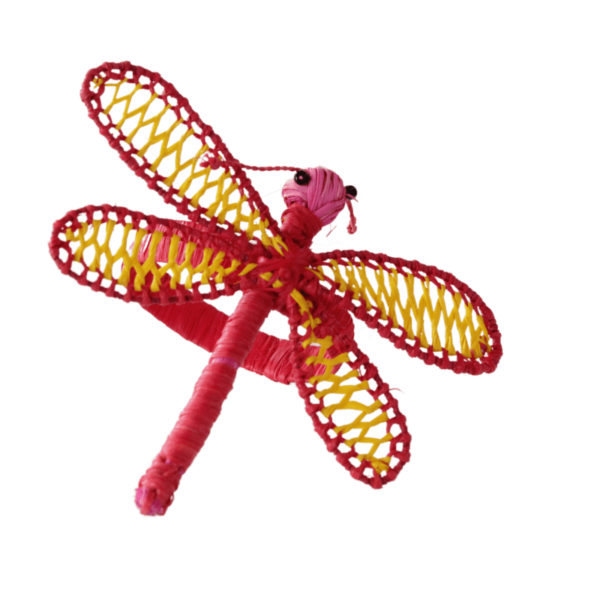 Libélula roja con amarillo