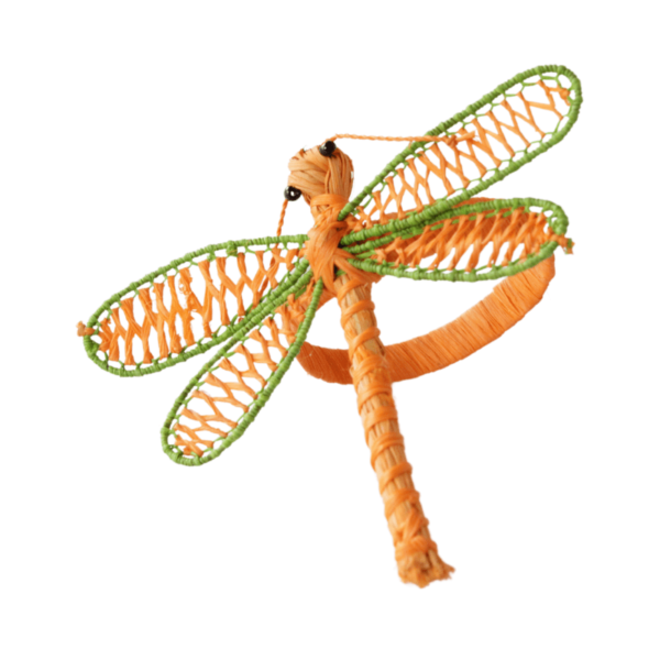 Libélula anaranjada con verde limón