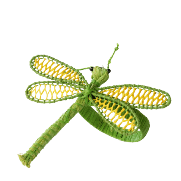 Libélula verde limón con amarillo