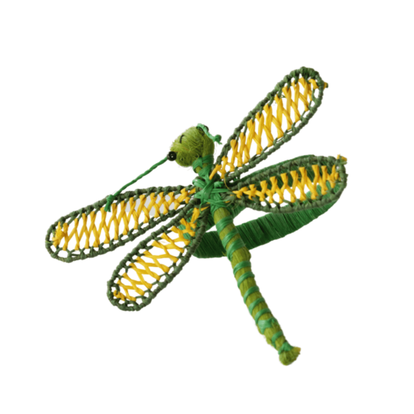 Libélula verde oscuro con amarillo