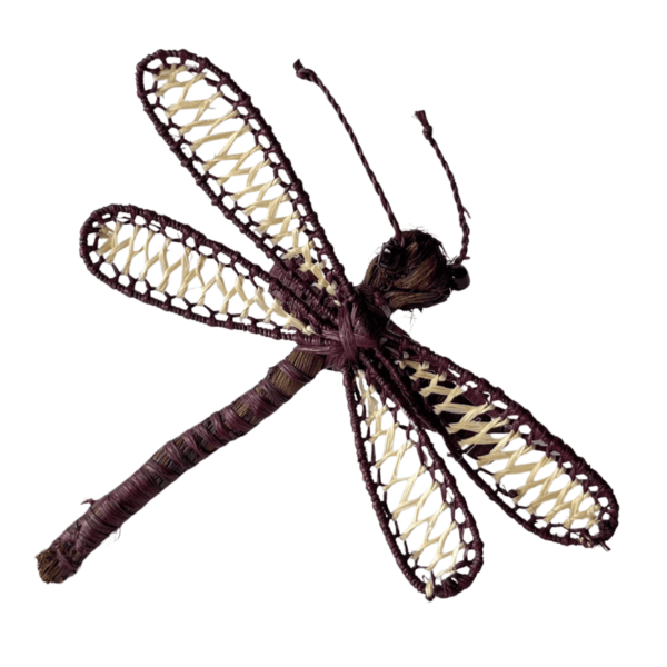 Libélula marrón oscuro con crema