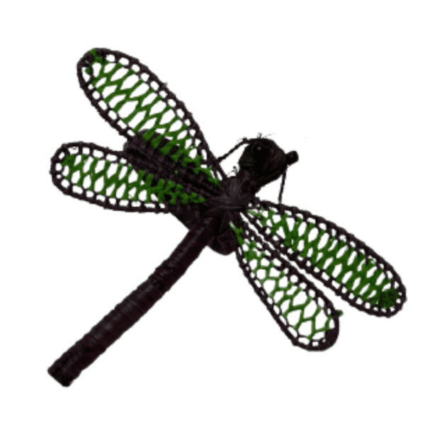 Libélula marrón oscuro con verde limón