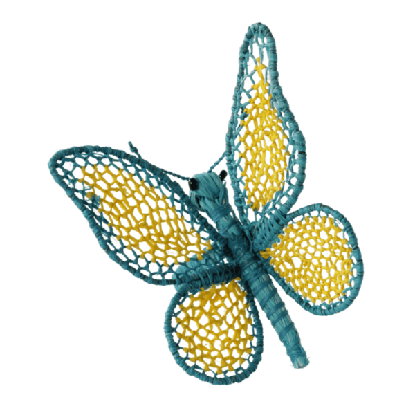 Mariposa grande turquesa con amarillo
