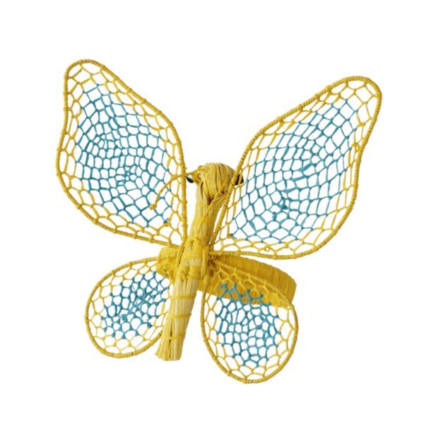 Mariposa grande amarilla con turquesa