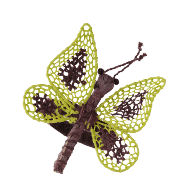 Mariposa pequeña verde limón con marrón