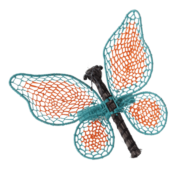 Mariposa grande turquesa con anaranjado