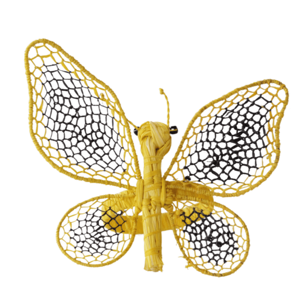 Mariposa grande amarillo con negro