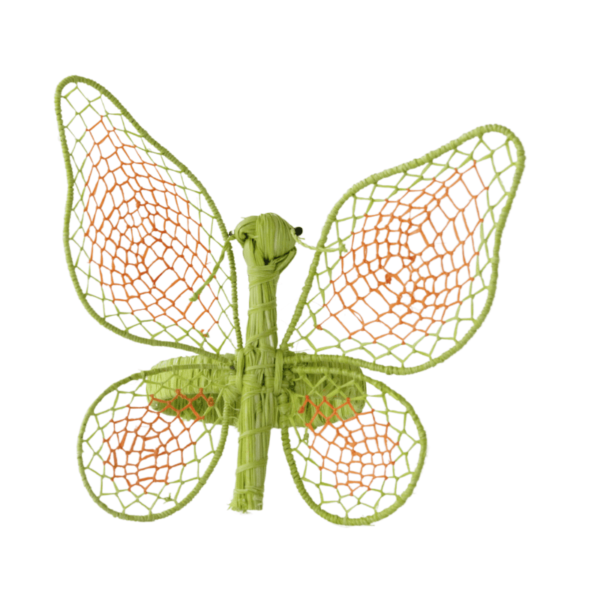 Mariposa grande verde limón completa con anaranjado