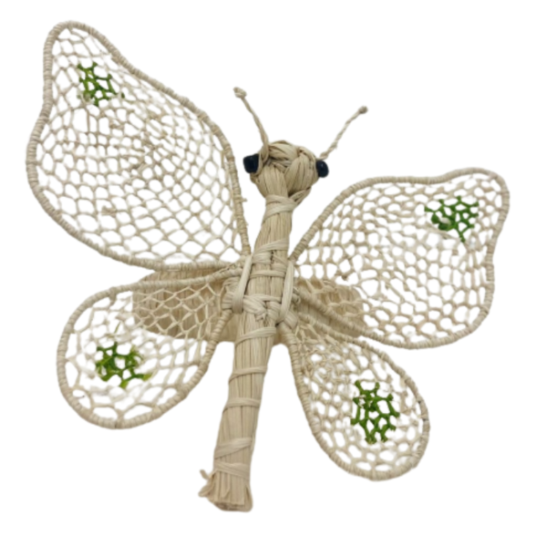Mariposa grande blanca con puntos de color verde