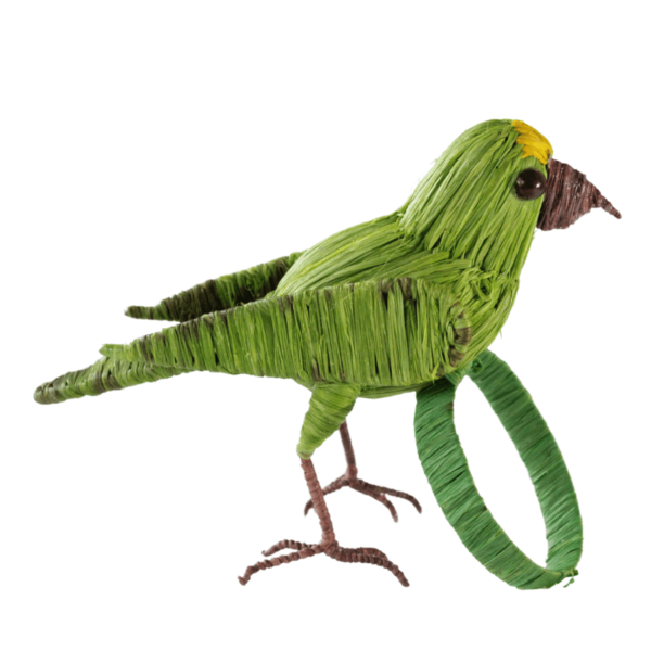 Pajarito verde con aro verde