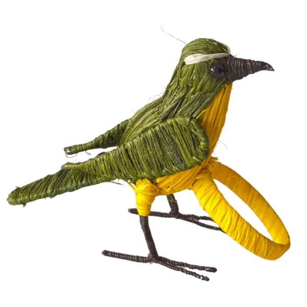 Pajarito verde pálido con pecho amarillo