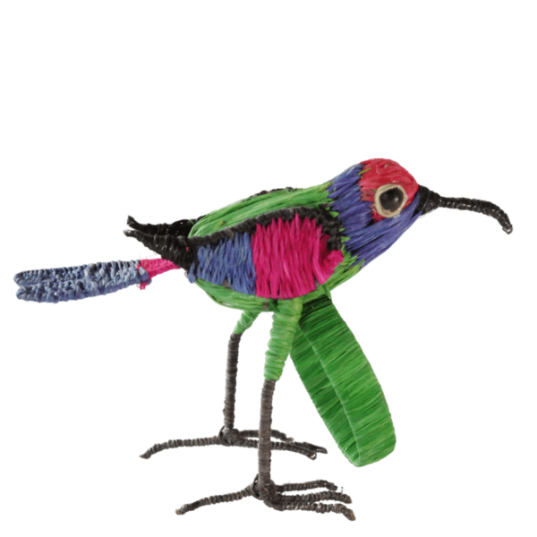 Pajarito con cuerpo color verde y alas con detalles en color fucsia, negro y cola azul