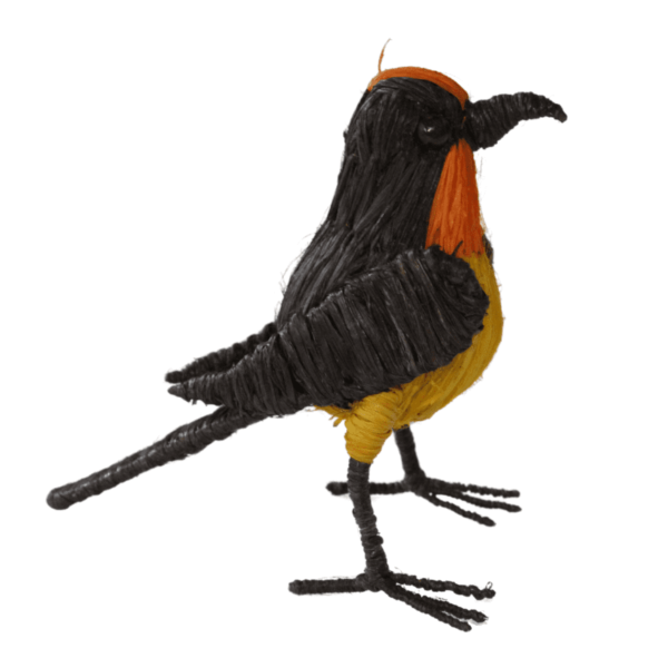 Pajarito marrón con anaranjado