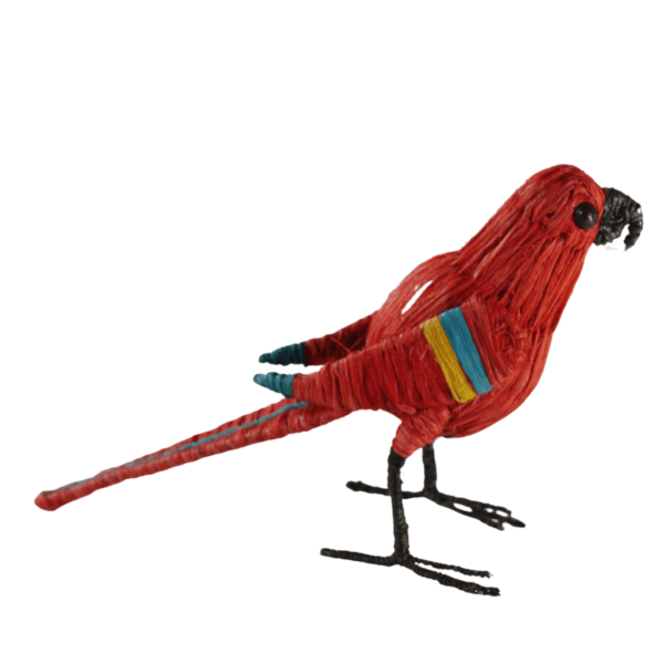 Pajarito rojo