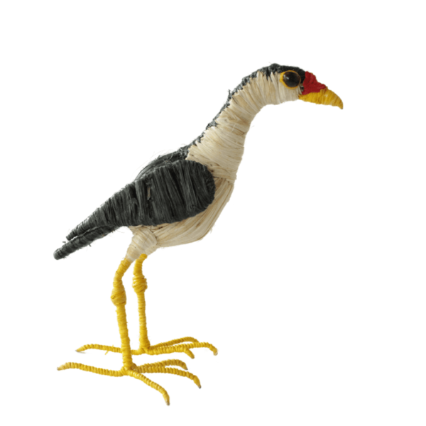 Pajarito negro con blanco
