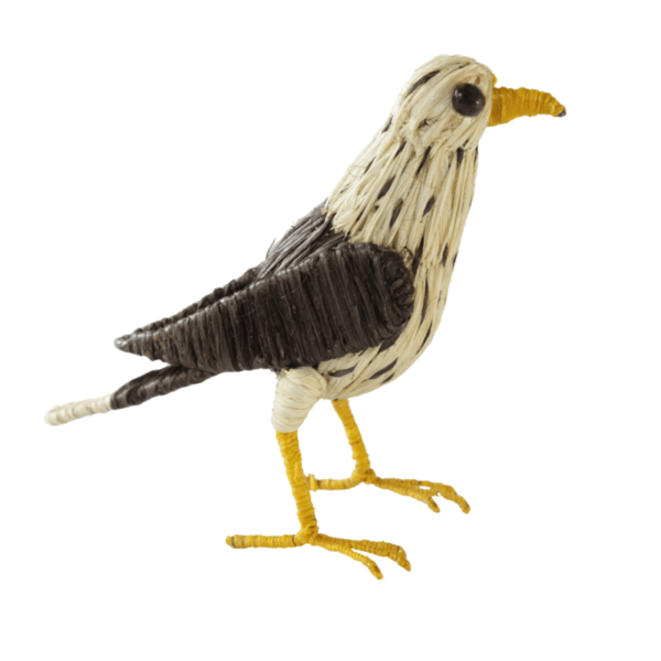 Pajarito blanco con marrón oscuro