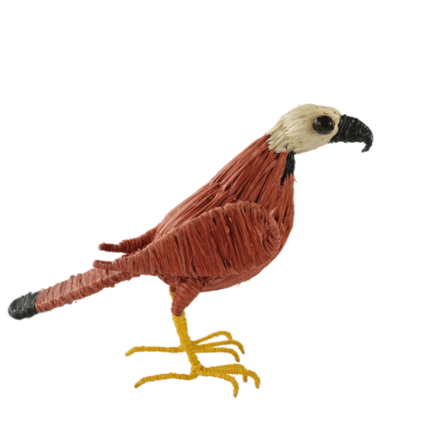 Pajarito águila marrón claro con crema
