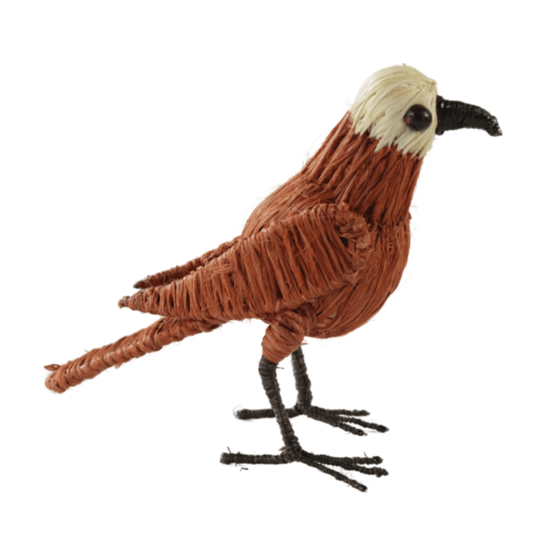 Pajarito marrón con blanco