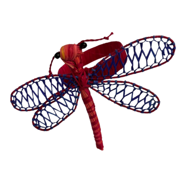 Libélula roja con detalle en el ala color azul