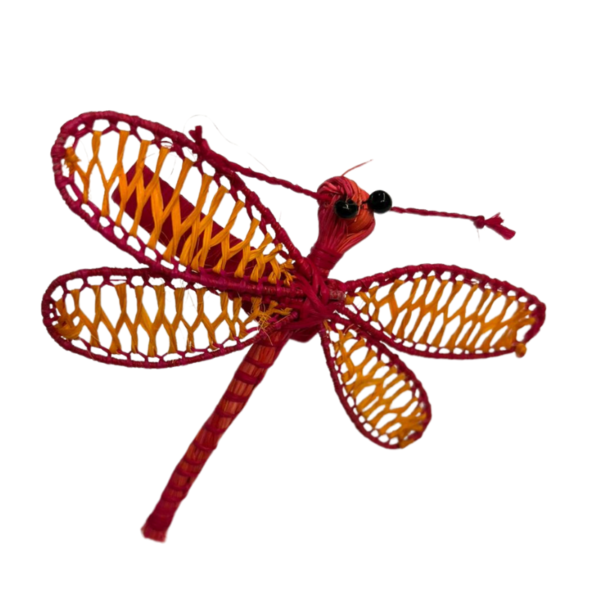 Libélula roja con anaranjado