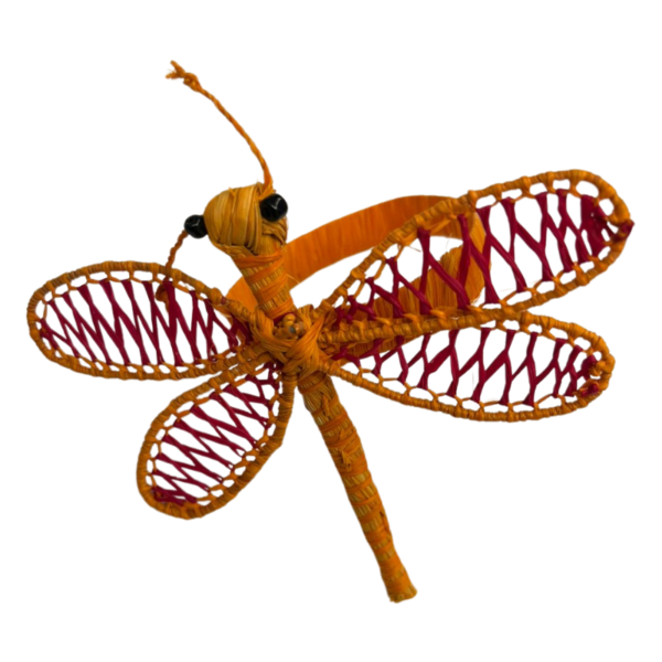 Libélula anaranjado con rojo