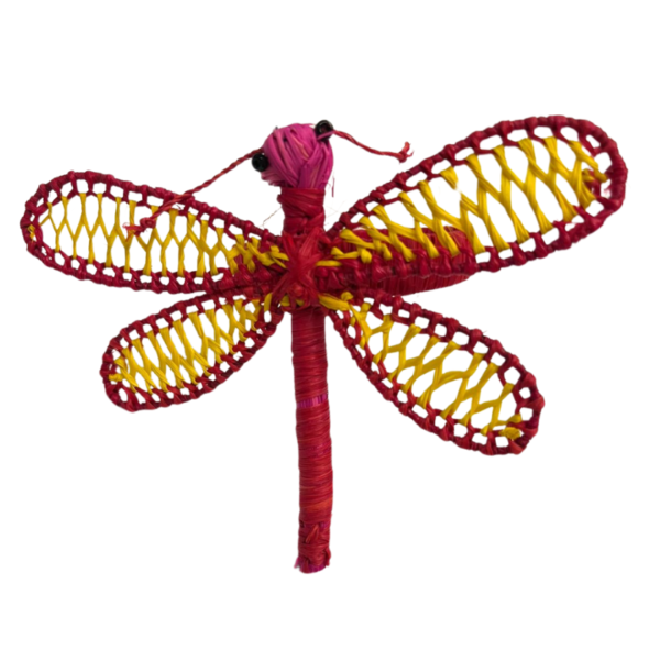 Libélula roja con amarillo en las alas