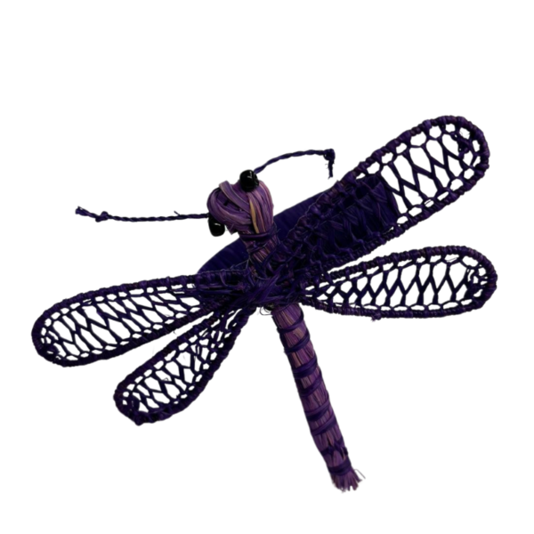Libélula azul con cuerpo morado