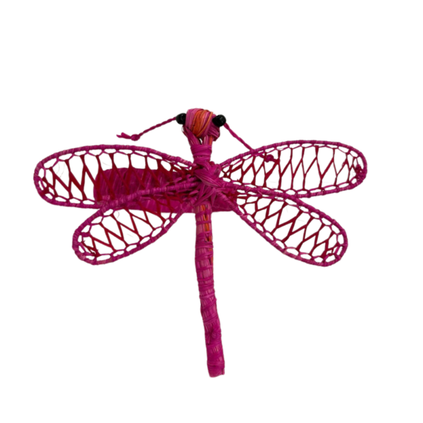Libélula fucsia con aro fucsia