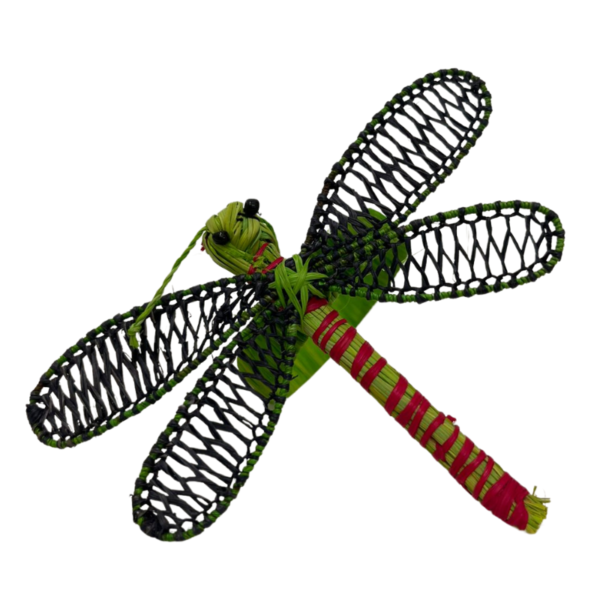 Libélula verde con detalle rojo y negro