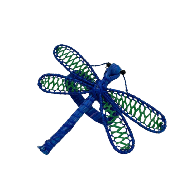 Libelula azul con verde claro
