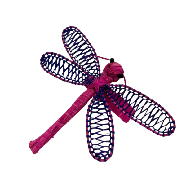 Libelua fucsia con morado
