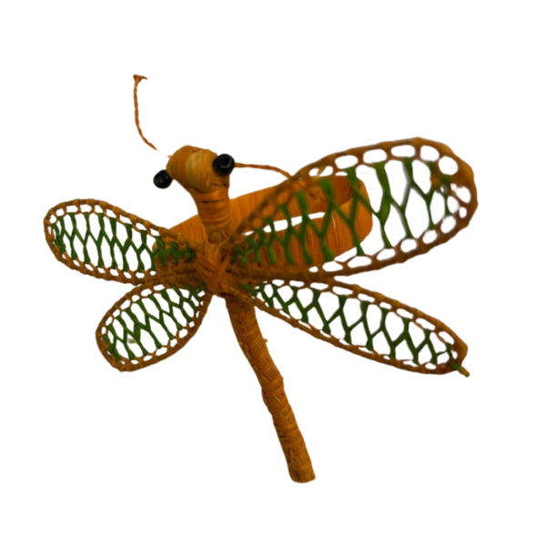 Libelula aranjada con verde
