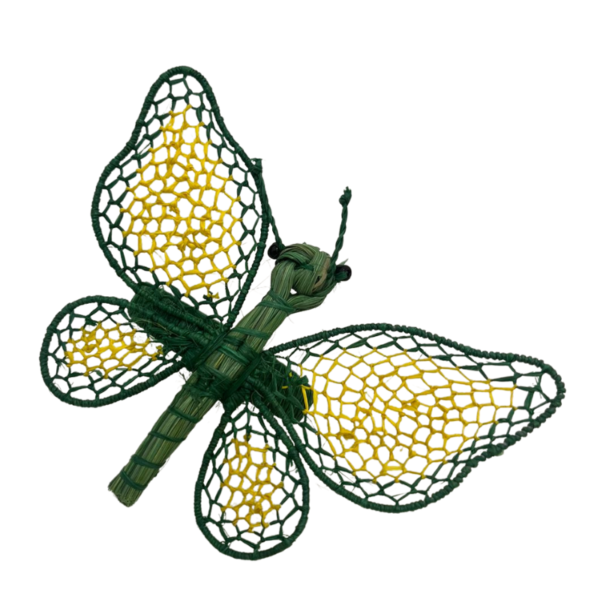 Mariposa verde con detalles amarillos