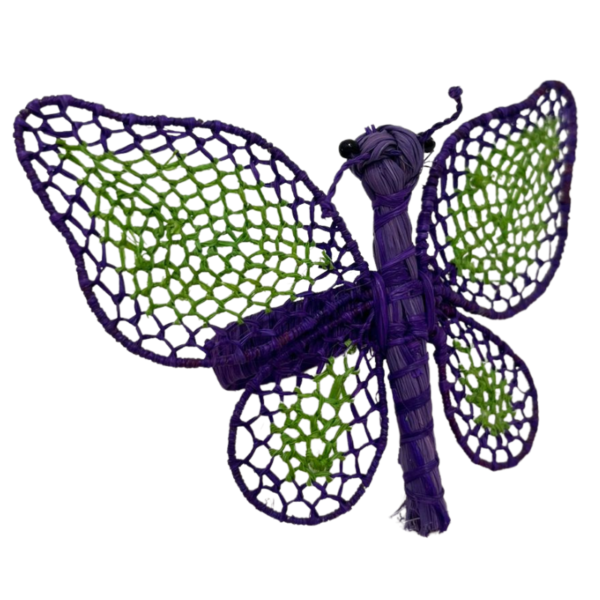 Mariposa morada con detalles verde claro