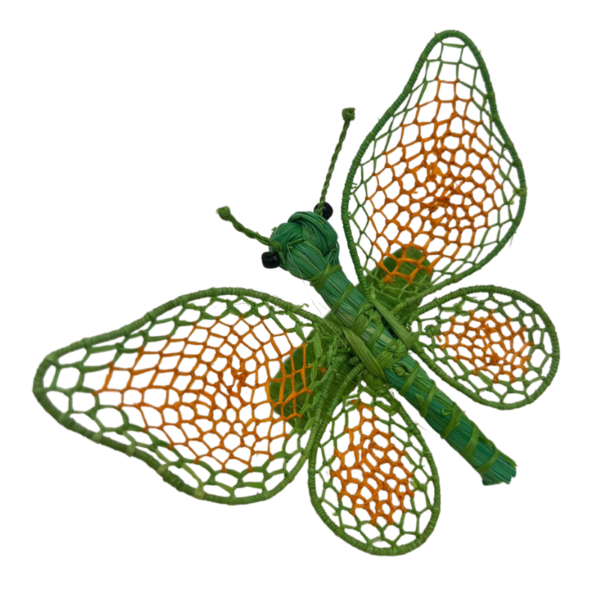 Mariposa anaranjado con verde claro