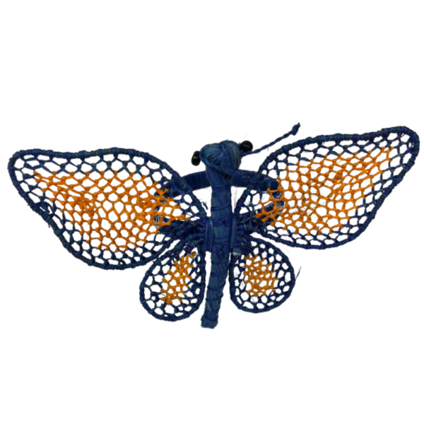 Mariposa azul con anaranjado