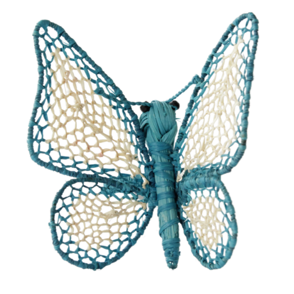 Mariposa grande turquesa con crema