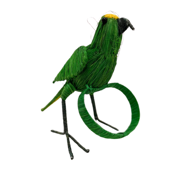 Pajaro verde con linea amarilla en la cola