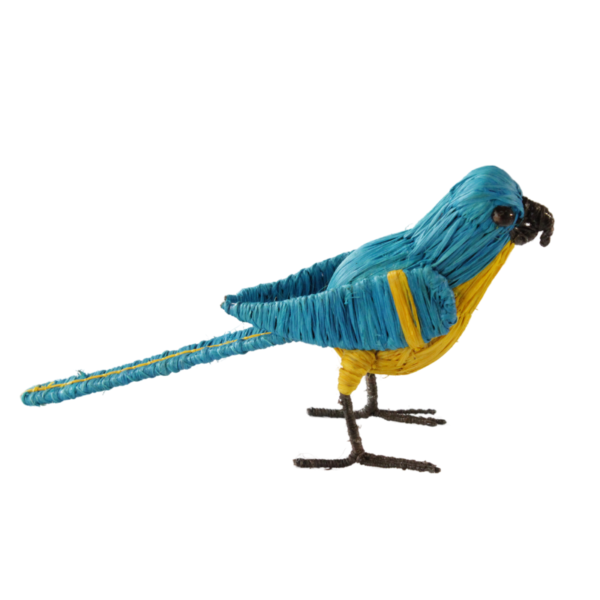 Pajaro turquesa con amarillo
