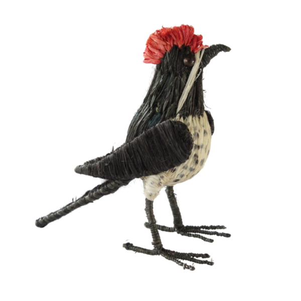 Pajarito negro con crema, cresta roja sin aro