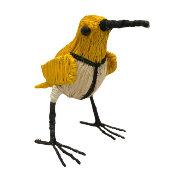Pajaro amarillo con pecho blanco