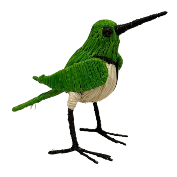 Pajaro verde con pecho blanco