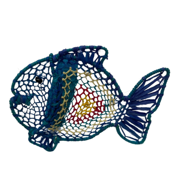Pez turquesa con colores variado