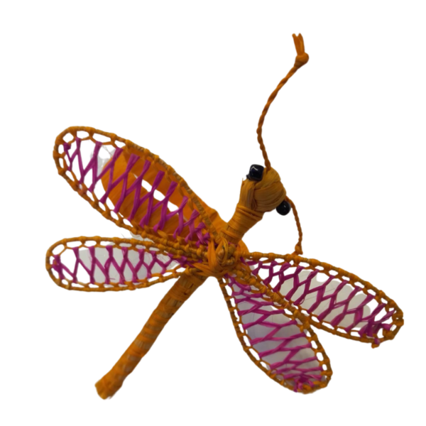 Libelula anaranjada con detalles fucsia en las alas y aro naranja