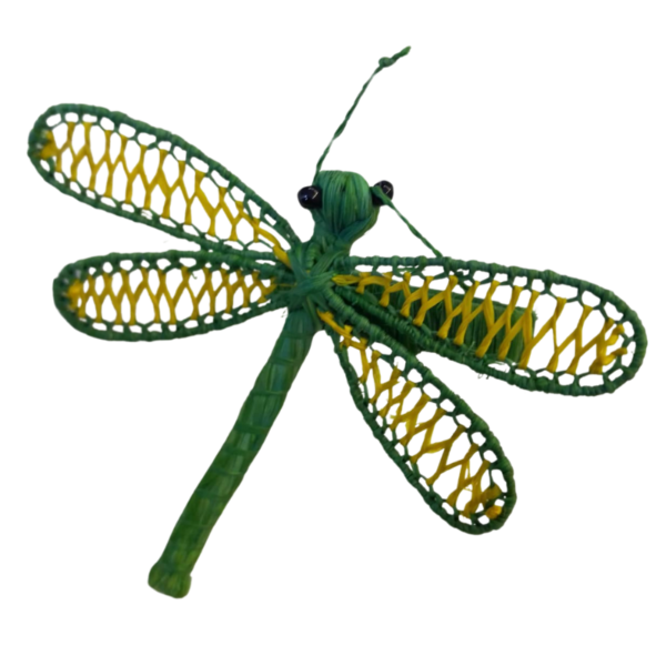 Libelula verde oscuro con detalles amarillos en las alas y aro verde