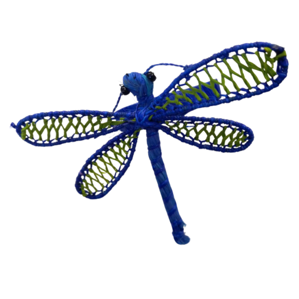 libelula azul con detalles verdes en las alas y aro azul
