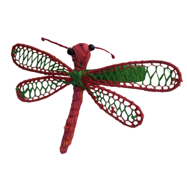 Libelula fucsia con detalles verde en las alas y aro verde