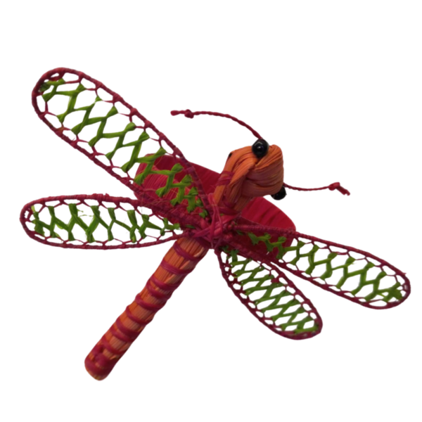 Lilbelula roja con detalles verde en las alas y aro rojo