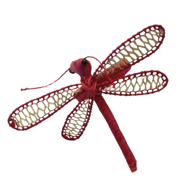 libelula roja con detalles crema en las alas